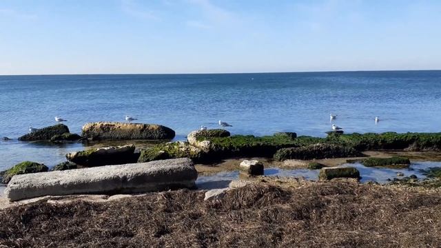 ДиДюЛя Танго добрых ветров Море 8 10 2022г город Бердянск смотреть онлайн