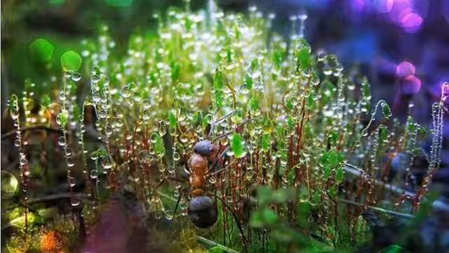 Matthew Herbert - These Branded Waters смотреть онлайн