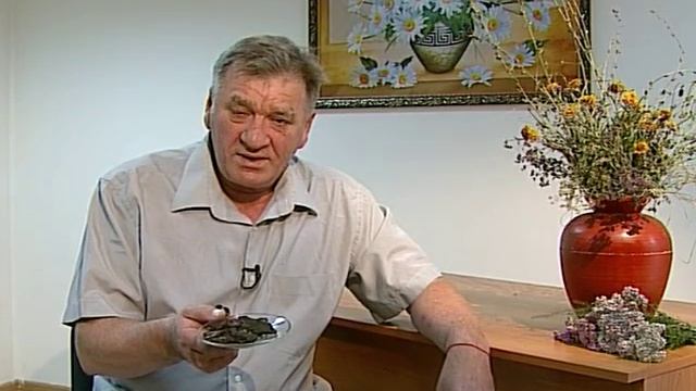 Майн Совет Чем полезен березовый луб смотреть онлайн