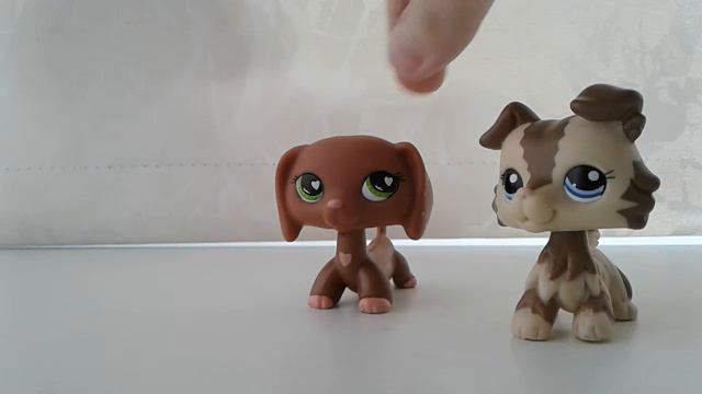 Распаковка посылки с колли смотреть онлайн