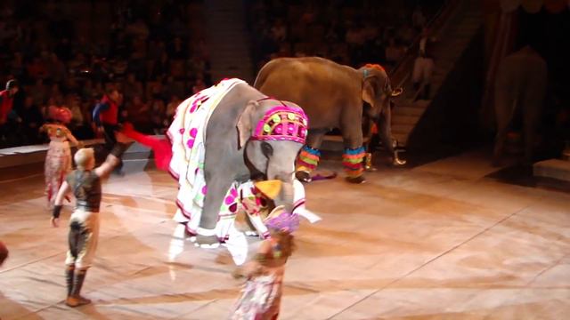 Elephants - dancers. Танцующие слоны. смотреть онлайн