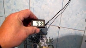 СУСЛО НЕ БРОДИТ, ЧТО МЫ ДЕЛАЕМ