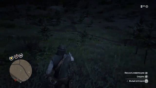 Просьба спутников - Дядюшка - Red Dead Redemption 2 смотреть онлайн