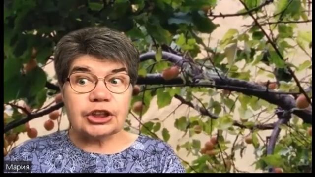 Роберт Стивенсон "Остров сокровищ" книга пиратских приключений смотреть онлайн