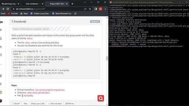 0x01 Shell Permissions смотреть онлайн