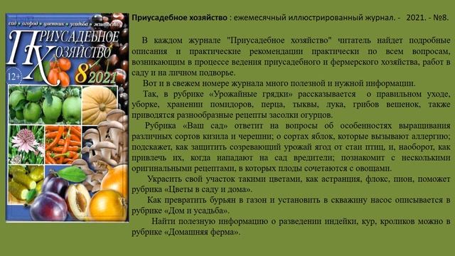 Виртуальный обзор «У*Дачное лето» смотреть онлайн