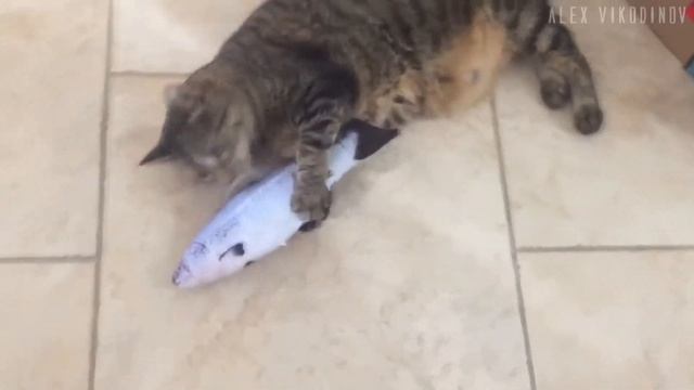 Плюшевая рыба