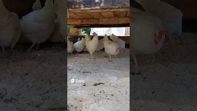 ВСЁ ИДЕАЛЬНО! смотреть онлайн