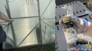 Чем обработать теплицу весной? Как избавиться от мышей?