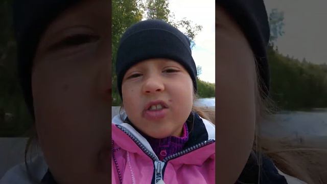 в поисках МЕДВЕДЕЙ в Карелии... смотреть онлайн