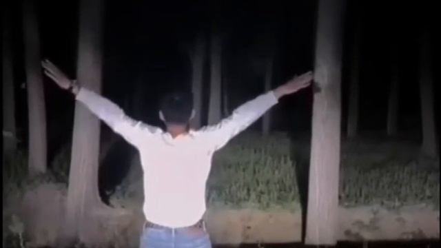 ПО ОРАТЬ В ЛЕСУ смотреть онлайн