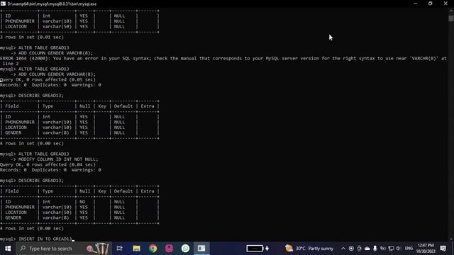 SQL INSERT INTO STATEMENT,UPDATE STATEMENT and DELETE STATMENT #sql смотреть онлайн