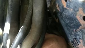 Заміна масла МКПП коробка передач Рено Кліо Симбол 1.4