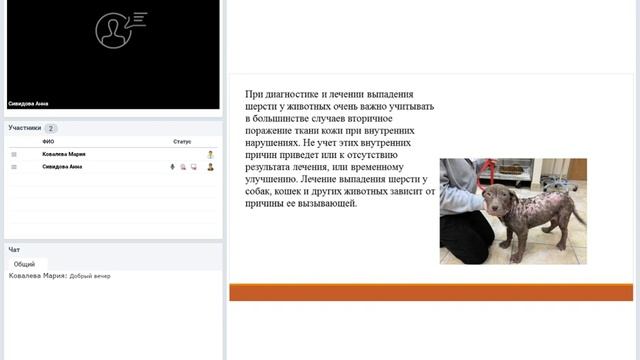 Пациент с алопецией. Лабораторная диагностика. Визуальные методы диагностики. смотреть онлайн