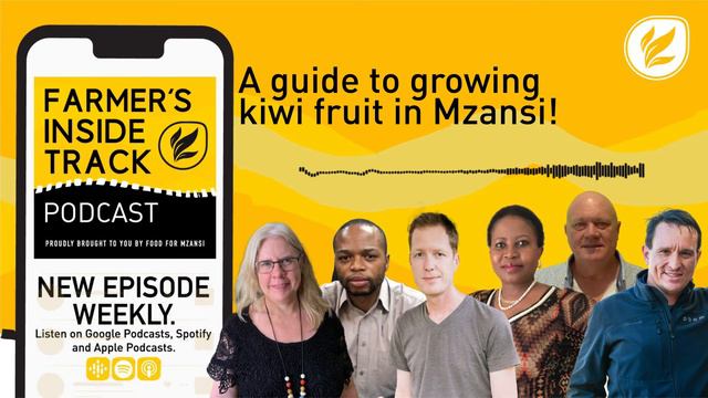 A guide to growing kiwi fruit in Mzansi! | Farmer's Inside Track Podcast смотреть онлайн