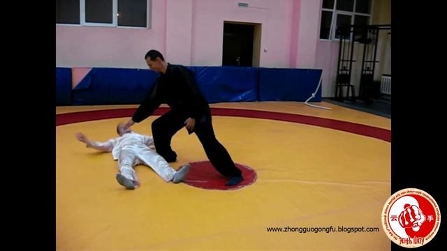 Боевые применения тайцзицюань