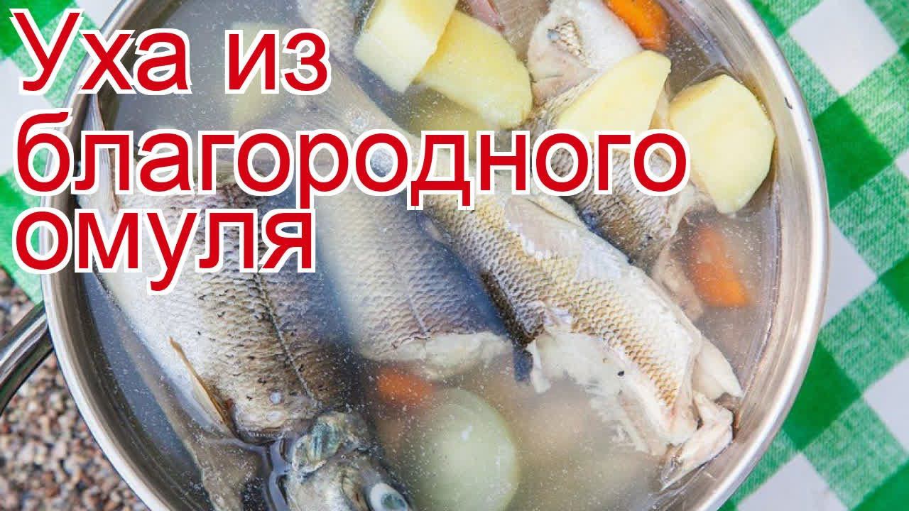 ДикоЕд - самая натуральная еда