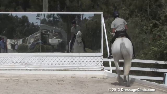 DressageClinic.com Presents Pam Goodrich Riding & Lecturing Lamborghini sample 2202013 смотреть онлайн