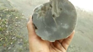 Удаление катализатора toyota camry 40 2.4