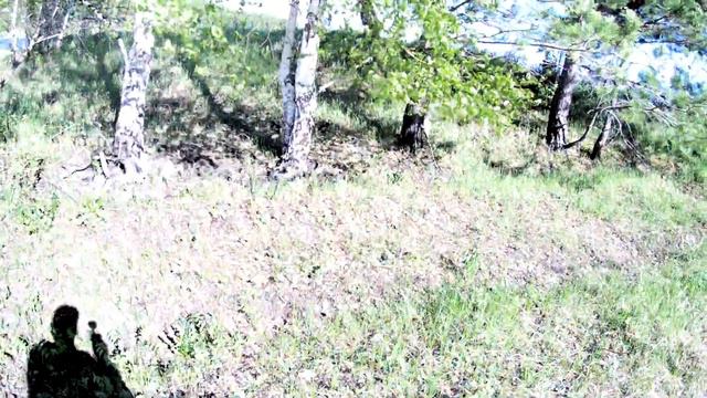 Паводок в июне 2021! А ведь может стать ещё хуже! смотреть онлайн