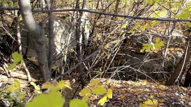 Поиски фонтанов в Зауральной роще привели... | Оренбург смотреть онлайн
