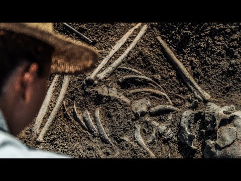 The Discovery of Sasquatch Remains смотреть онлайн