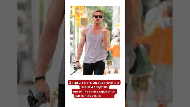 Как Читать Мысли Без Слов, Жест #21 | Бицепсы