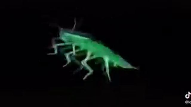 А ему норм? смотреть онлайн