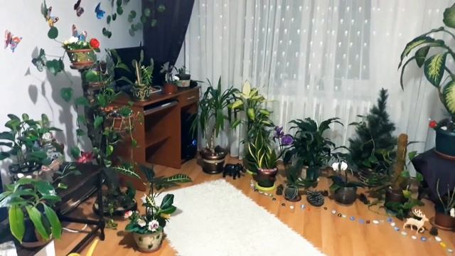Мой цветущий зал для Медитаций и Йоги / Bahçe tarzında salonum смотреть онлайн