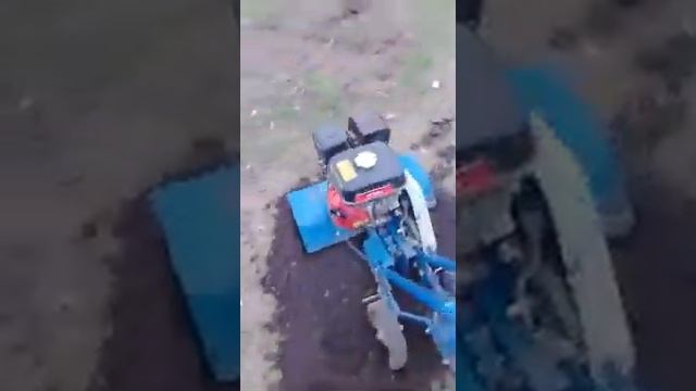 крот смотреть онлайн