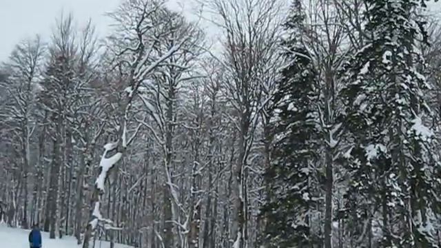 2013-02-16 - Колашин смотреть онлайн