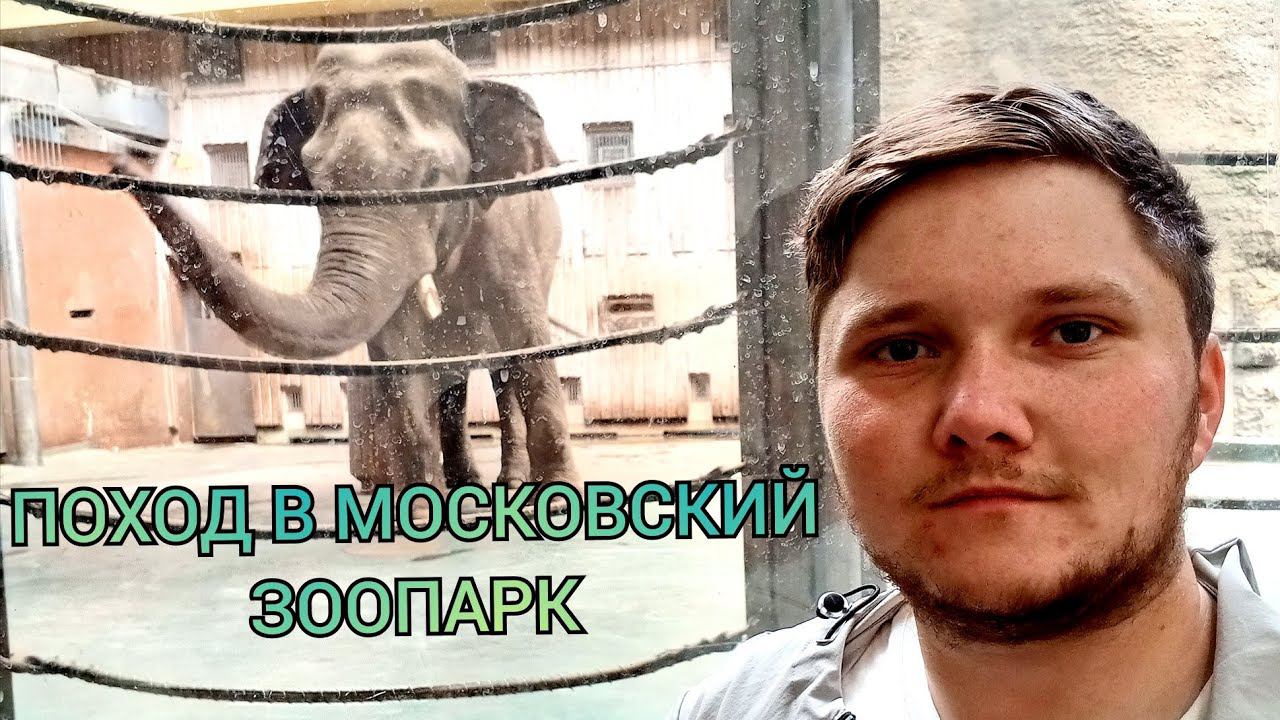 Поход в московский зоопарк смотреть онлайн