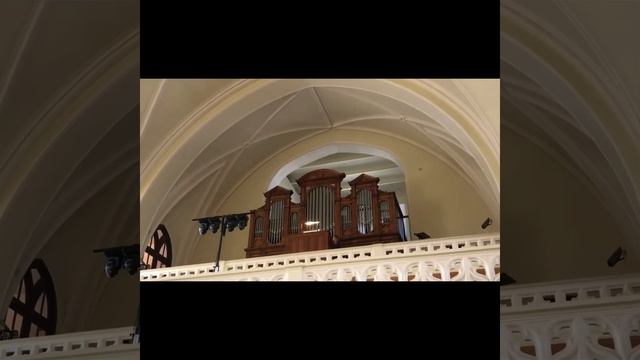 Метнер на стихи Пушкина. Роза