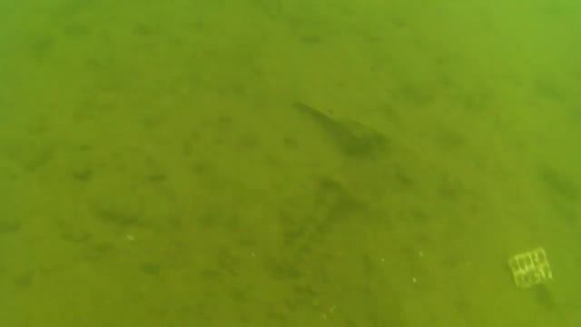 Подводный поиск с металлоискателем Находки под водой смотреть онлайн