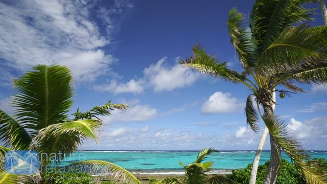 Всемирное природное наследие (Возвращение в рай. Островов Фиджи) (2018) 4K WEBRip 2160p_v.2 смотреть онлайн