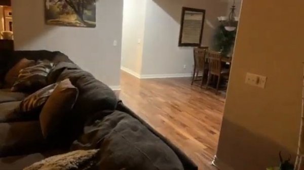 DizzyKitten - Dizzy's IRL House tour! (Twitch Live Stream Clip)