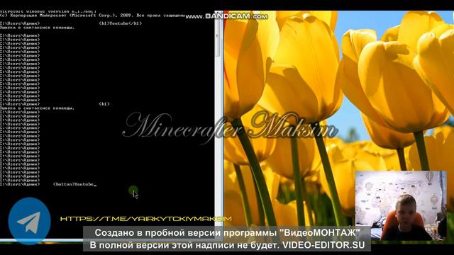 Обучение програмирования (кнопки название сайта текст) смотреть онлайн