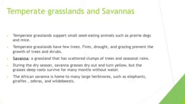 Science Project Term 3/Land Biomes смотреть онлайн