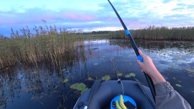 Ловля красноперки маховой удочкой. Полная лодка отборнейшей краснопёрки ©