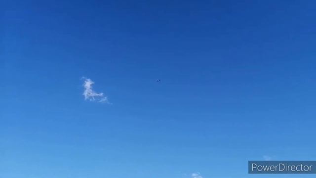 поехали в кафе🚙оказались на диком пляже🤔🏖️🌳🌱кафе на берегу больше нет😪#бугринскаяроща#новосибирск смотреть онлайн