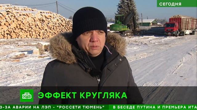 Репортаж СМИ про запрет на вывоз круглых, необработанных лесоматериалов. ВТО, ЕС, лес, Россия смотреть онлайн