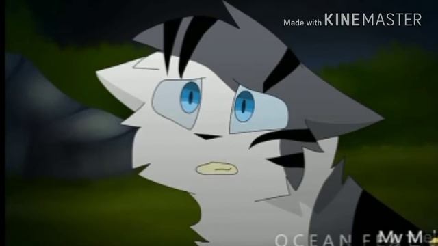 Коты Воители-клип-Снов осколки Alekseev смотреть онлайн