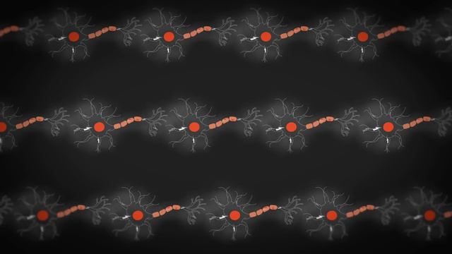 What causes seizures, and how can we treat them? - Christopher E. Gaw смотреть онлайн