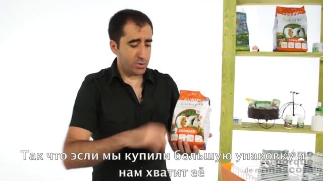 Морские свинки-приготовление клетки для морской свинки смотреть онлайн