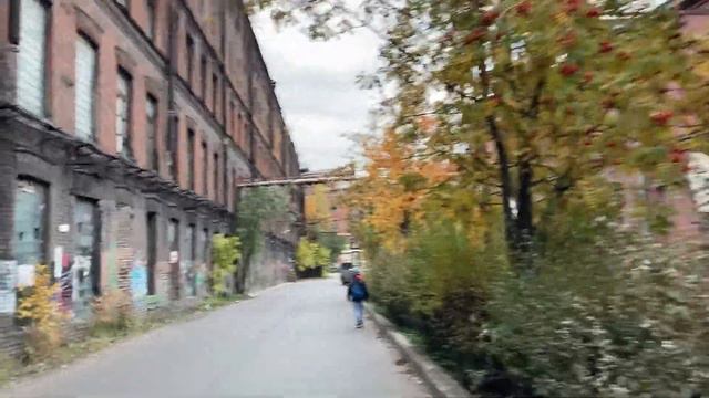 Загадочная территория «Треугольник»! (Моя вторая работа). Звонок из клиники! Встреча с дочкой !!! смотреть онлайн