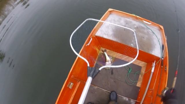 Вспышка ЧУМЫ ! заражена рыба смотреть онлайн