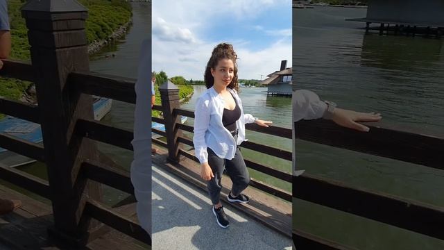 Пришелец.Попугай корелла?Знакомство. смотреть онлайн