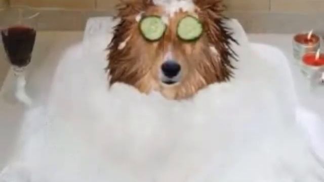 анекдот Монтажная Пена анекдоты смотреть онлайн