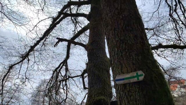 Velden (Pegnitz), Bavaria, Germany, “Wonderful hiking ? “ (Velden Pegnitz, Mittelfranken) смотреть онлайн