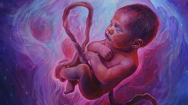 Медитация безусловной любви, рождения, перерождения смотреть онлайн